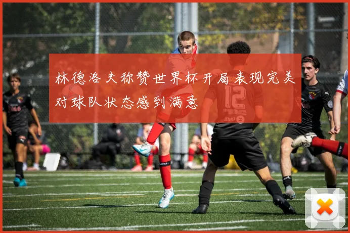 林德洛夫称赞世界杯开局表现完美对球队状态感到满意