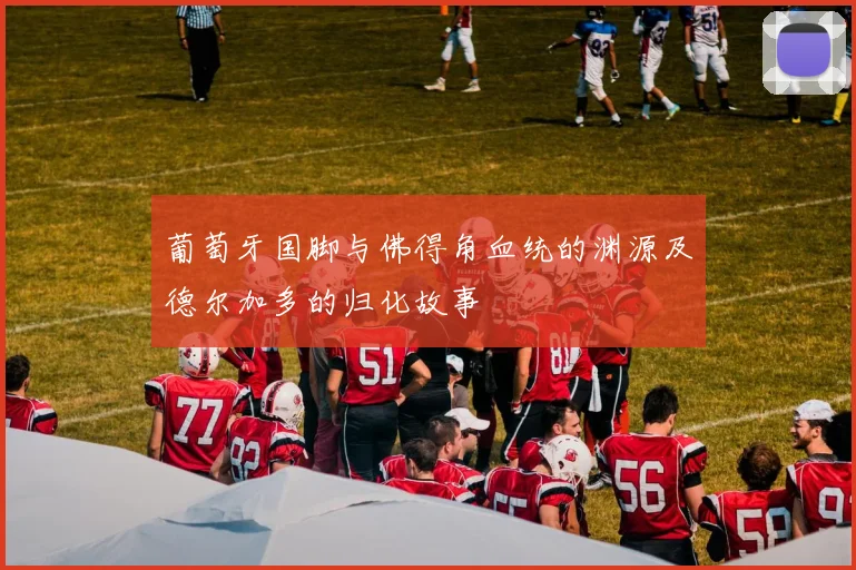 葡萄牙国脚与佛得角血统的渊源及德尔加多的归化故事